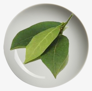 Mariza Daun Salam Kering 25g - Frozen Vegetables #3847978