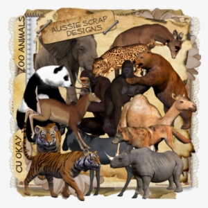 Pictures Of Zoo Animals - Christmas #3848601