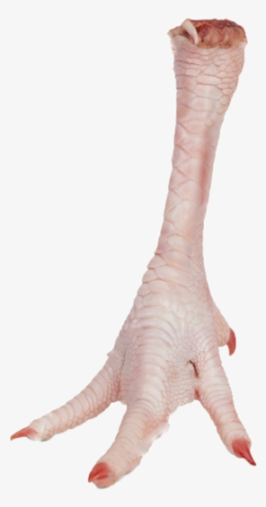 Chicken Leg Png Download - Chicken Feet Transparent Background #3848625