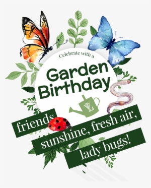 Have A Garden Birthday - Two Blue Butterflies Watercolor #3849192