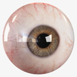 Eye Bloodshot Blood Redeye Bloodshoteyes Facefreetoedit - Éviscération Définition #3851246