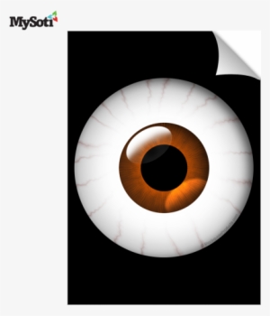 Product Blog - T Shirt #3851527