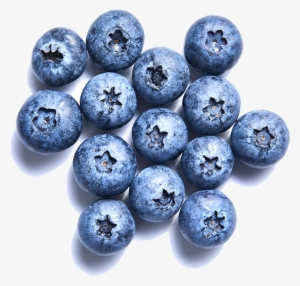Blueberry-individuallg - Blueberry #3851533