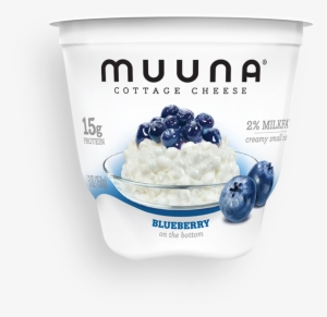 Blueberry - Muuna Cottage Cheese 16 Oz #3851593