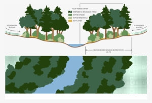 Stream Corridor Buffer S - Wetland Buffer #3852143