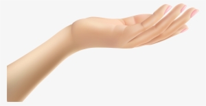 Transparent Hand Png #3852524