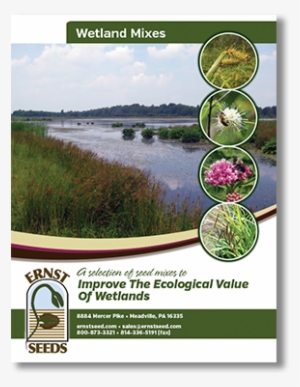 Wetland-mixes - Wetland #3852557