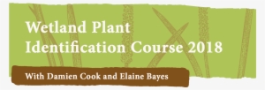 Wetland Plant Identification Course - Graphic Design #3852643