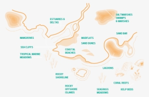 Where Land Meets Water - Diagram #3852844