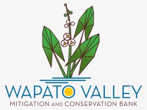 And Conservation Bank Through The Washington State - Wapato #3853058