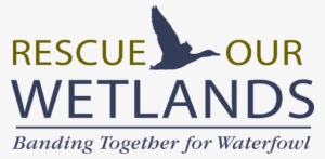 The Campaign Priority At The Heart Of Rescue Our Wetlands - Understanding Flying Weather [book] #3853116