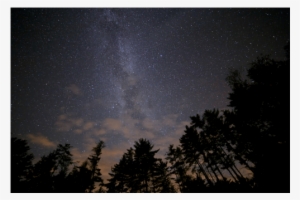 Night Sky - Forsyte Saga, Volume I: The Man #3853254