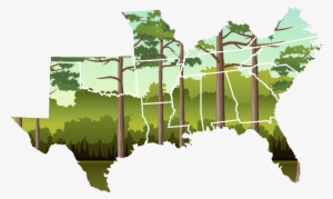 See Your State's Statistics - Tree #3853393