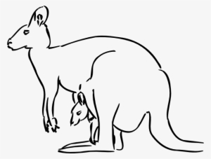 How To Set Use Kangaroo Svg Vector #3853537
