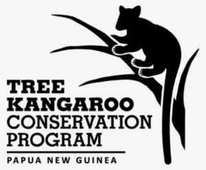 Tree Kangaroo Conservation Program #3853957