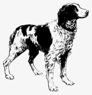 Big Image - Brittany Spaniel Line Art #3855348