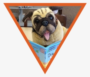 From Storytime To Steam, Summer Reading Programs To - Whitefish Bay Public Library #3856115