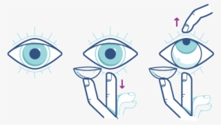 Follow This Eye Opening Technique To Put On Your Contact - Put Contacts In Eyes #3856456