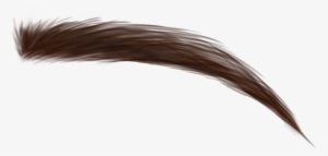 Report Abuse - Picsart Png Makeup Eyebrow #3856487