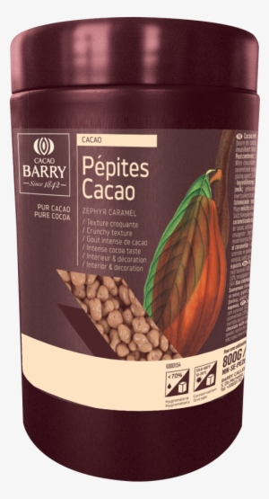 Explore More - Cacao Tree #3857453