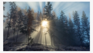 Fondos De Pantalla Hd Naturaleza Para Laptop #3857544