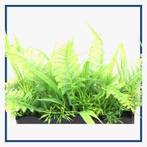 View Larger - Grass #3858597