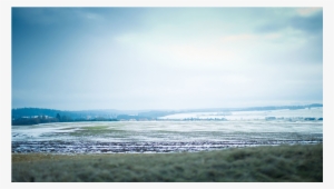 Score 50% - 1080p #3858675