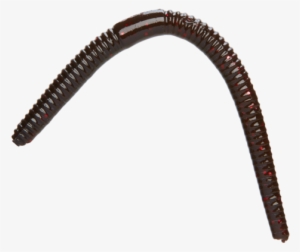 Fishing Physics Worm - Wat Tham Prathun #3858953