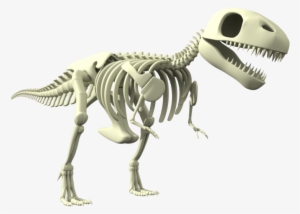 28 Jul - Tyrannosaurus #3859961