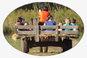 Thursdays , Friday (noon - Post Family Farm Hay Ride #3860511