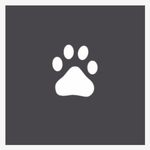 Baidu Share Button - Portable Network Graphics #3861070