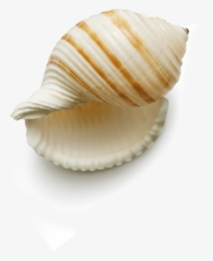 Beach Mapa - . Spf 50 #3861906