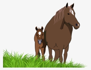 Jument Et Son Poulain Movie Clipart Free Race Horse - Horse And Foal Clipart #3862159