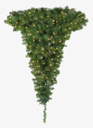 Classic - Christmas Tree #3862429 Classic - Christmas Tree #3862429