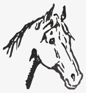 This Free Clip Arts Design Of Horse Png - Horses Head Black And White #3862780