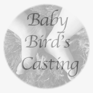 Baby Bird's Casting - Infant #3862785