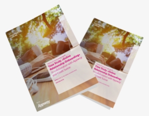 Appway Offers Credit Suisse A Comprehensive And Scalable - Brochure #3862862