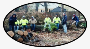 Boys And Log Pile #3863012