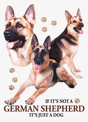 German Shepherd - T-shirt #3863038