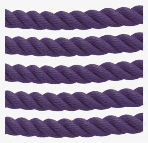 Barrier Rope Purple - Rope #3863339