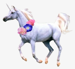 Free Icons Png - Flower Unicorn Transparent #3863392