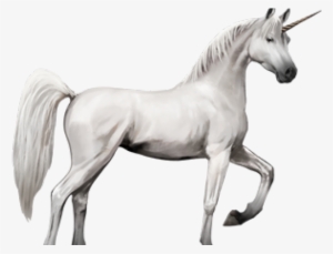 Unicorn Png Transparent Images - Horse With Wings Png #3863421
