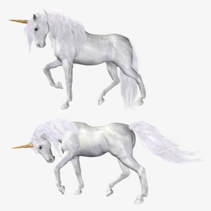 Unicorn #3863483 Unicorn #3863483