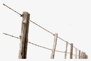 Barbed Wire Fence Png - Fence #3863503 Barbed Wire Fence Png - Fence #3863503