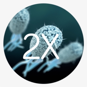 Did You Know - Crescent #3863671