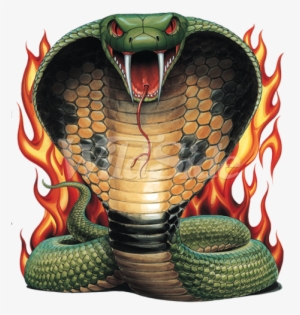 Coiled Cobra With Flames - Coiled Cobra #3863702