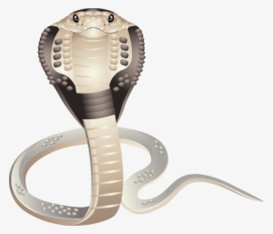 Cobra Snake Png Images Free Download - Portable Network Graphics #3863855