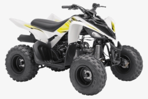 2017 Yamaha Raptor 90 2017 Yamaha Raptor 90 - Raptor 90 2018 #3864043