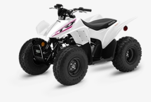 View Trx90x - 2019 Trx90x #3864066