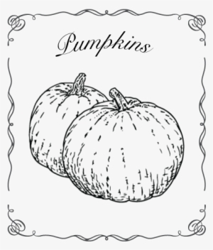 Angevine Farm Llc #3865254